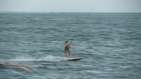 Ein-Windsurfer-Kommt-Vorbei