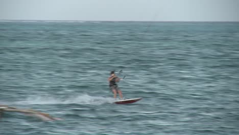 pasa un windsurfista
