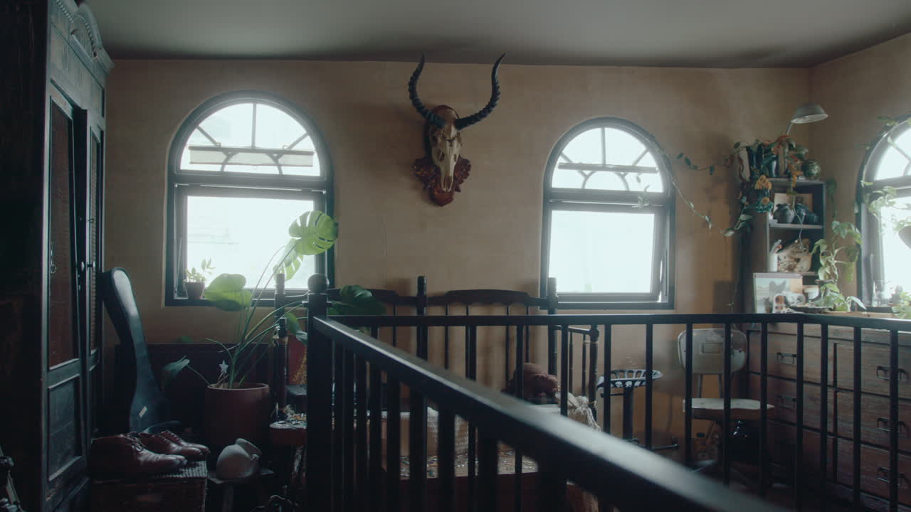 Interior of Antique Store with Rare Items