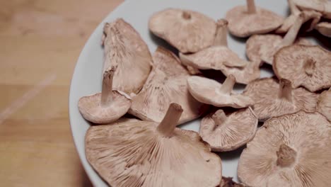 wild mushrooms rotating on off center plate, closeup