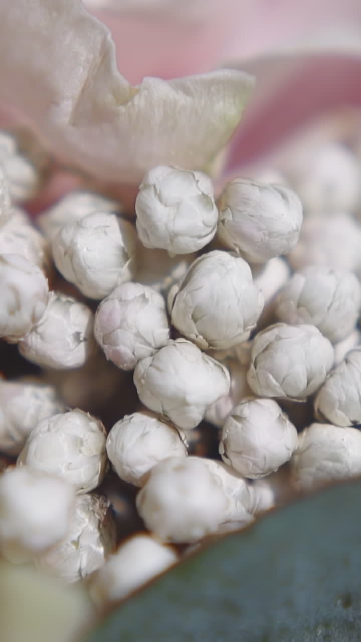 Small gentle gypsophila flowers in festive bouquet composition closeup. Elegant elements of wedding bouquet. Bunch of buds arrangement in floral shop