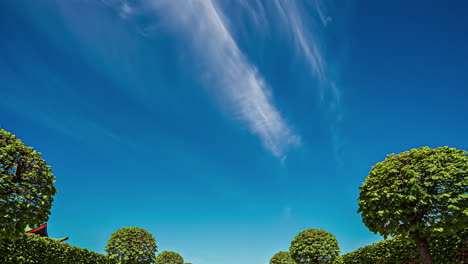 white cirrus clouds moving on a blue sky over a garden