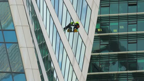 professional window cleaners at work.