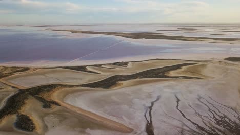 lake tyrrell, victoria, australia. drone pulling back over the pink salt lake
