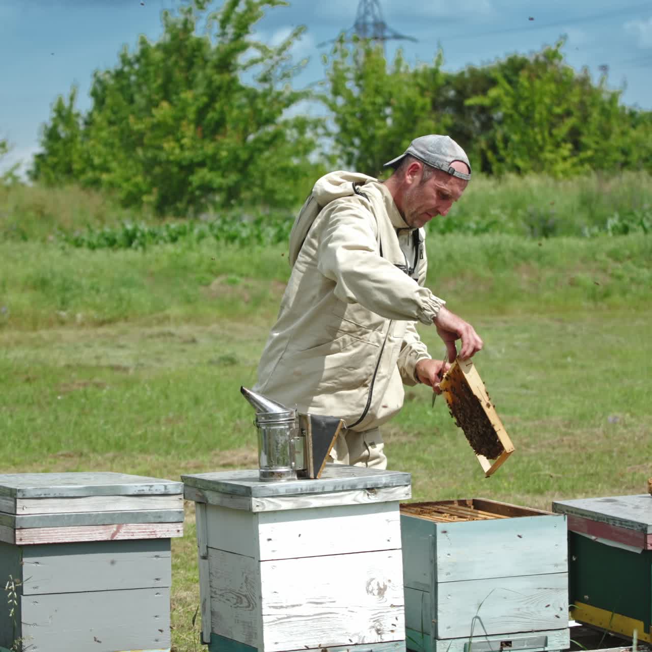 Bee farmer takes frame out of the hive. Apiarist inspecting his bee farm. Sunny summer day background