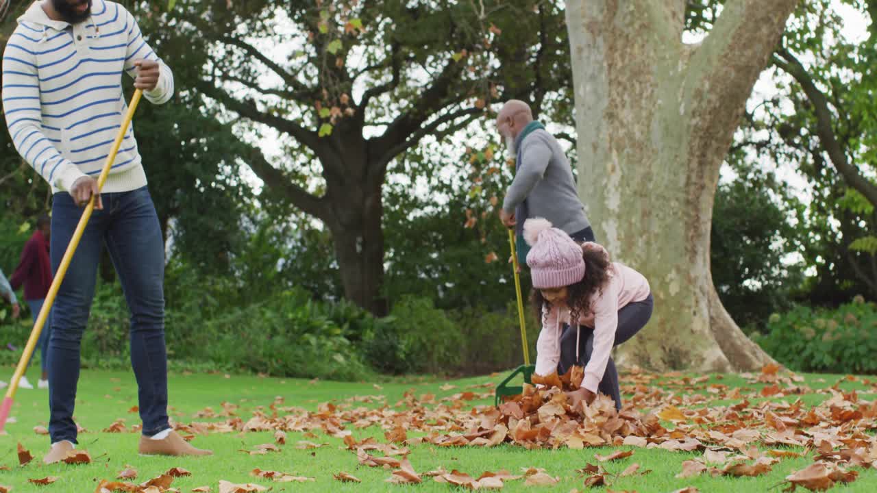 행복 한 아프리카계 미국인 아버지 와 딸 이 정원에서 할아버지 와 함께 잎 을 모으는 영상