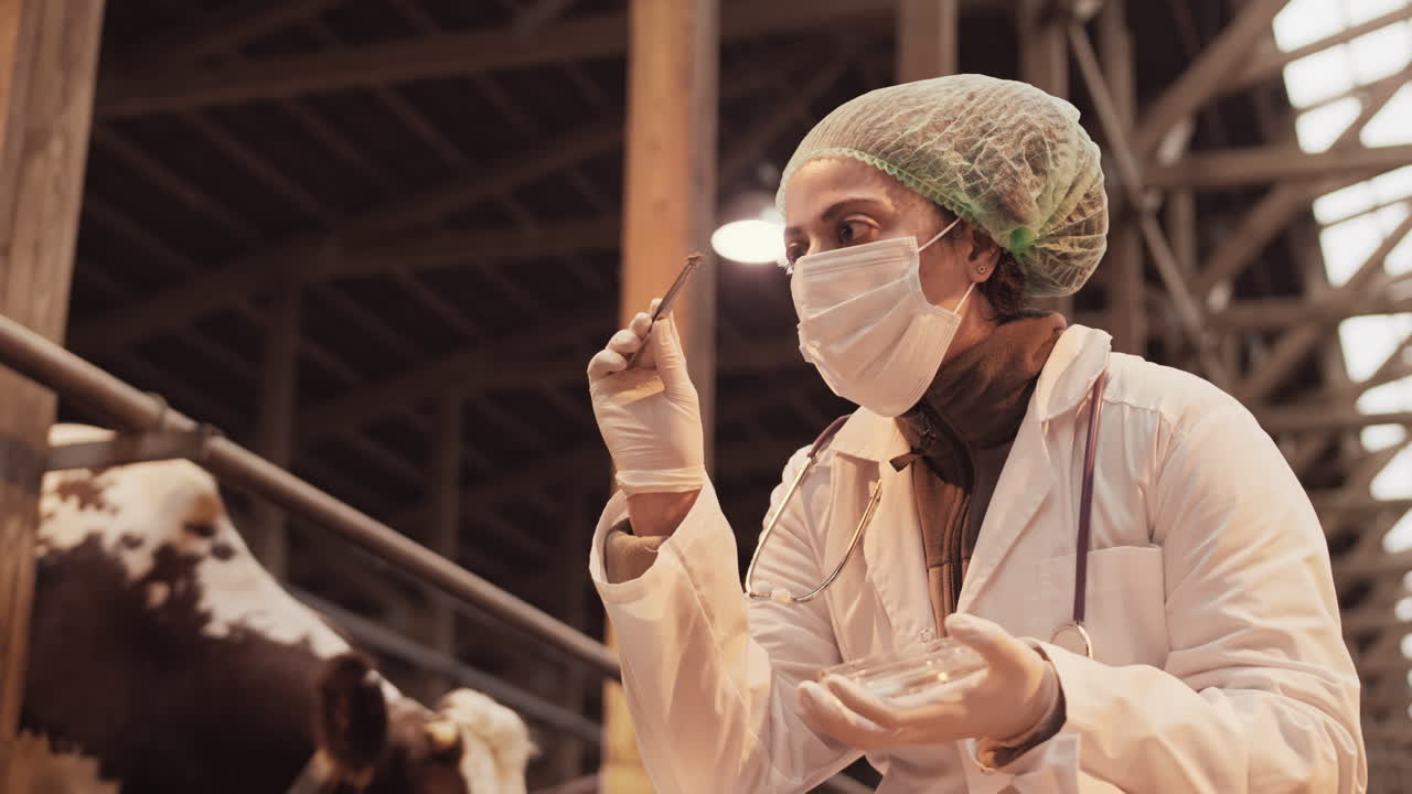 Woman Taking Cow-feed Sample with Forceps