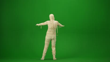 home isolated. back view of brunette holding chroma key green screen smartphone watching content