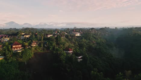 this drone video reveals a peaceful village resting atop ubud’s tropical valley, kissed by early sunlight and surrounded by vibrant greenery and tall palms, embodying the serenity of island living.