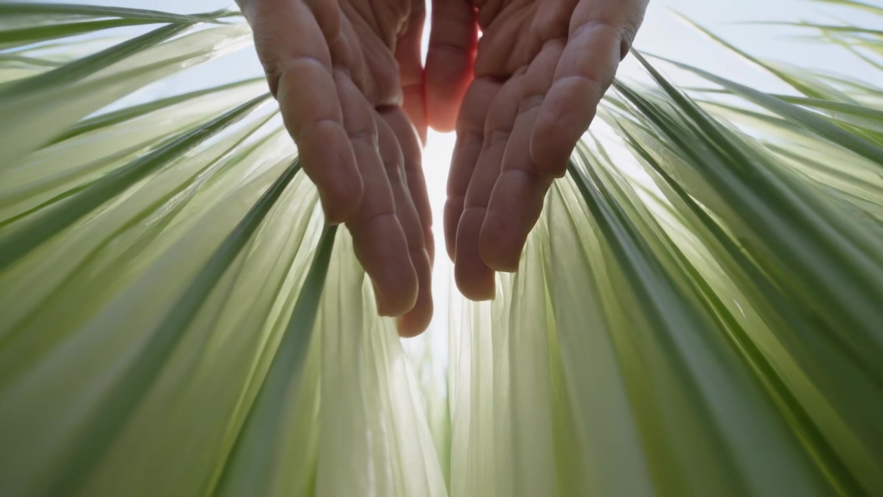 Pushing hands entering above parting green fronds at ground level forming gap revealing bright sun