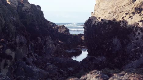 Una-Piscina-De-Marea-En-Primer-Plano-Con-El-Océano-En-Marea-Baja-En-El-Fondo-A-Lo-Largo-De-Una-Costa-Rocosa