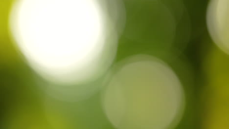 Verschwommener-Bokeh-Lichteffekt---Abstrakter-Hintergrund