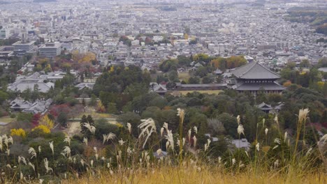 Aerial view over Nara city with shrines during fall colors