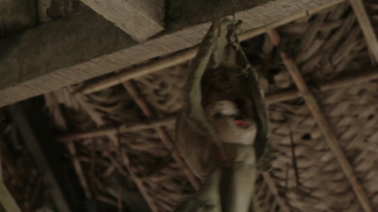 Close-up of Freaky doll hanging and decorating a hermit's house in the Darien Gap - Colombia