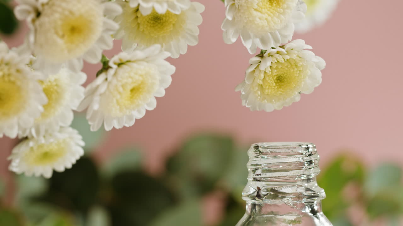 Fiori di Crisantemo Bianchi e Goccia di Olio Essenziale