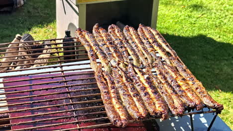 grilled river lamprey sizzling on a barbecue grill during an outdoor summer gathering