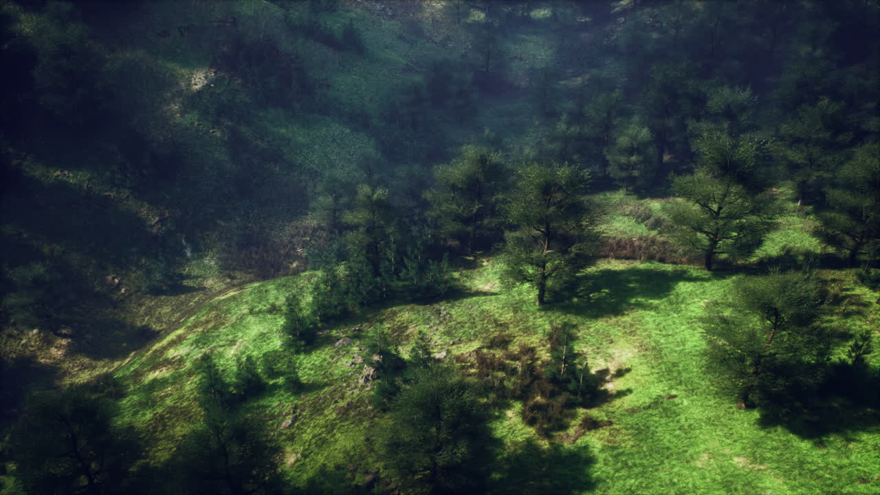 vista aérea de un paisaje de colinas de bosque verde y exuberante