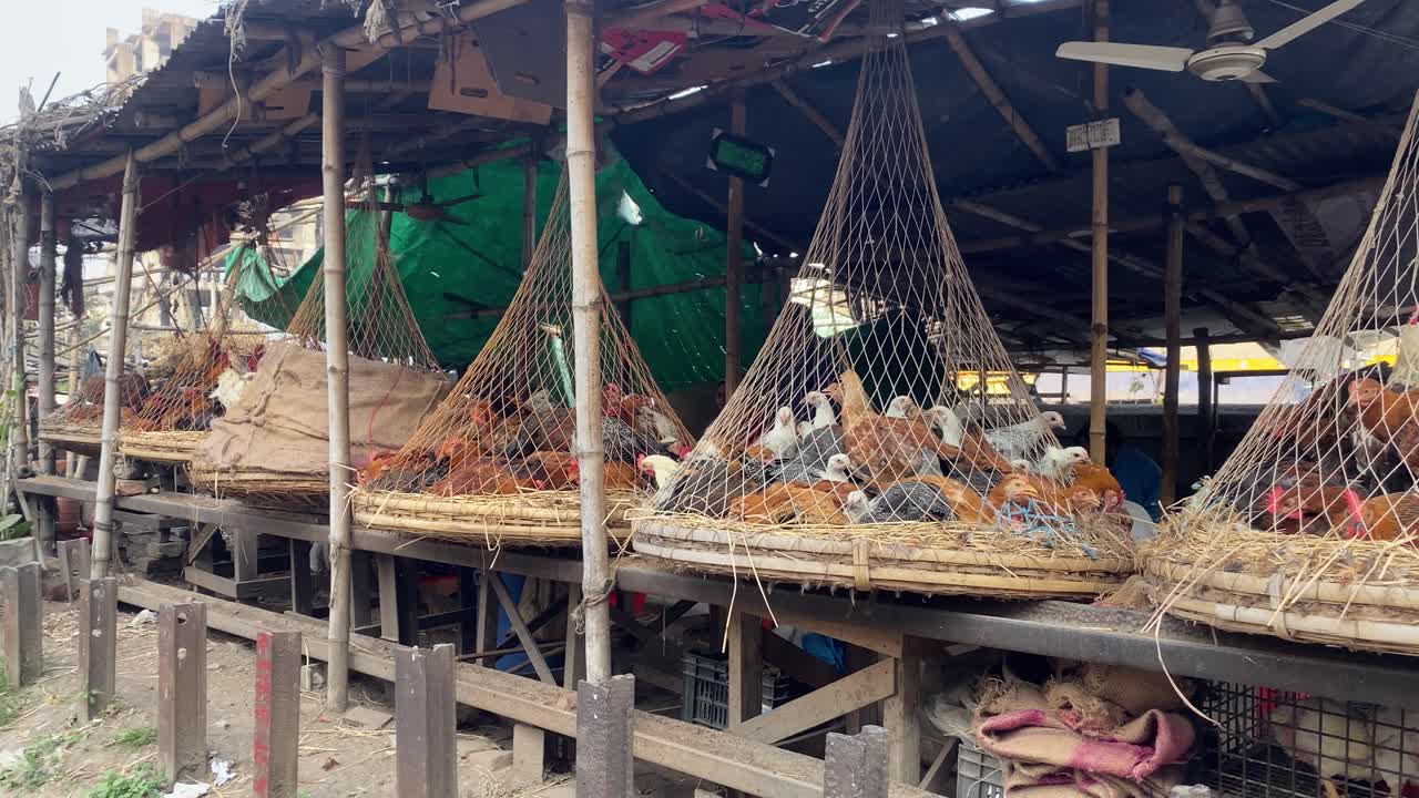 Row Of Fresh Chickens In Hanging Netted Cages At Market Stall In Street In Dhaka