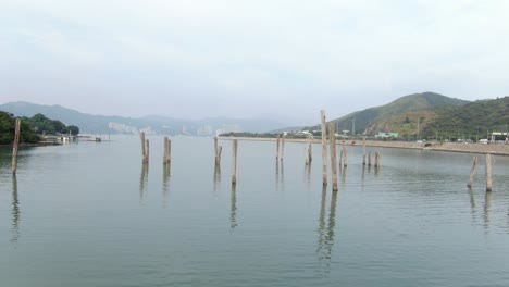 香港在蘭陶島的隱藏灣, 有古老的樹幹從水中突出, 從空中看