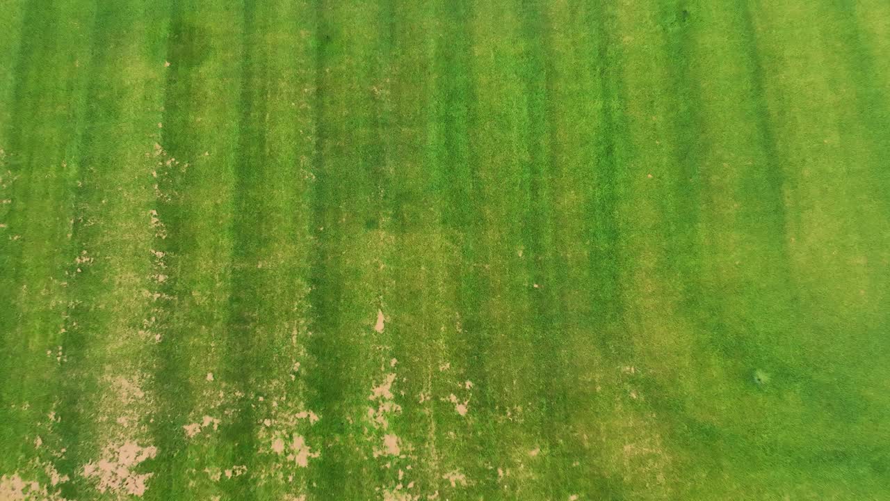 descendiendo y inclinándose sobre el césped