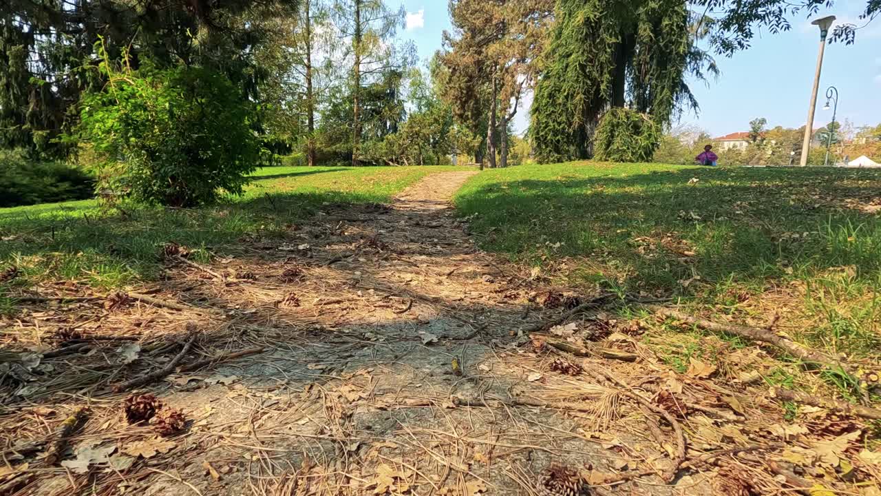 잎이 많은 공원을 가로질러 조용한 산책
