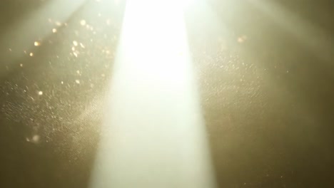 golden light rays and dust particles