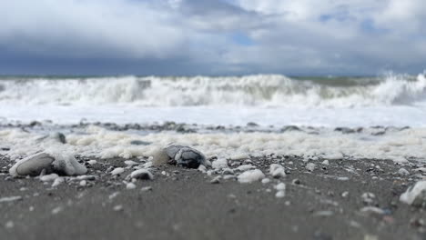 Foamy-Waves-Washing-On-Shore-From-The-Beach-Of-Olympic-National-Park-In-Washington,-USA