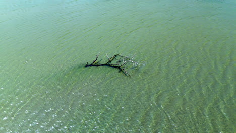 Pequeña-Isla-En-Un-Lago,-Masa-De-Tierra-Dentro-De-Un-Lago