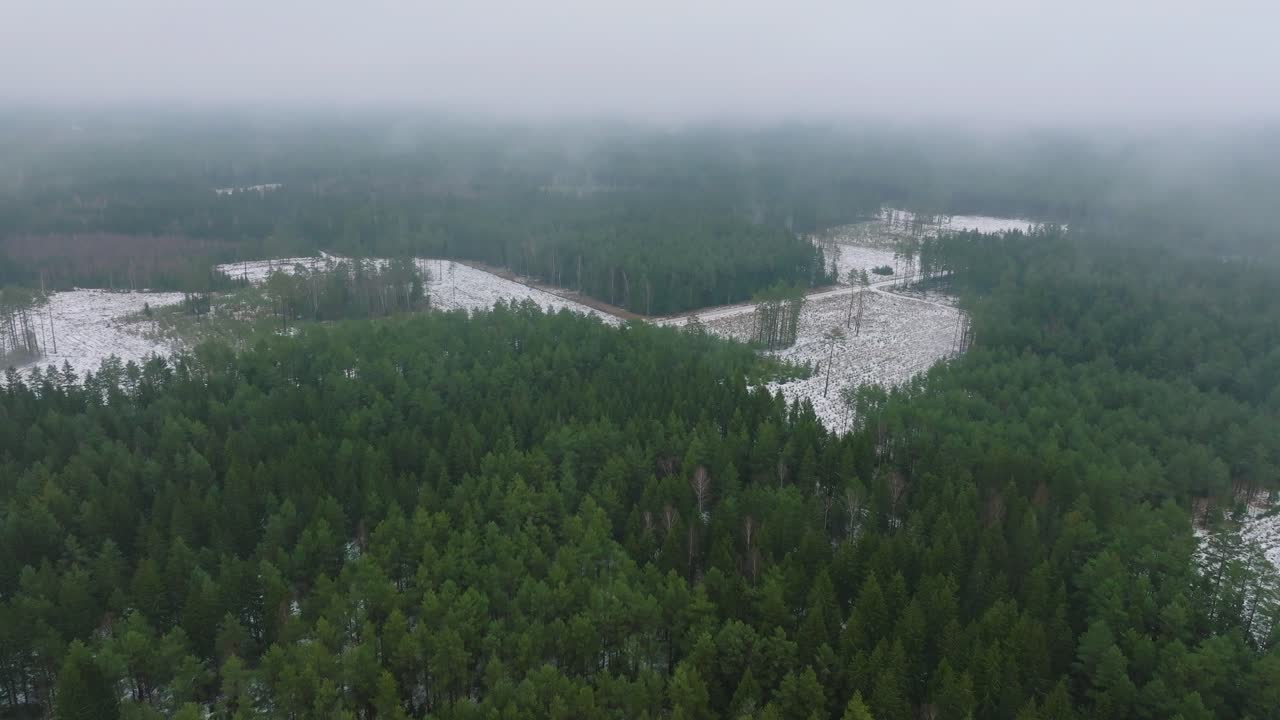 Establishing aerial footage of trees covered with light snow, Nordic woodland pine tree forest, foggy overcast winter day, mist rising, low clouds moving, wide drone shot moving forward high