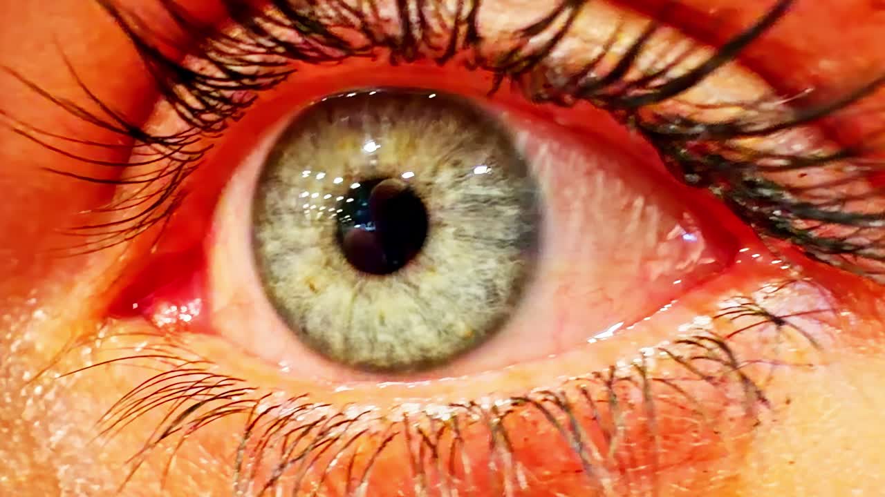 Close-up of a human eye, expressing curiosity in Jelgava, Latvia