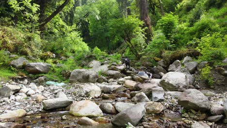 Drone-Shot-of-a-small-village-in-Sainj-Valley-in-Himachal-Pradesh-near-Manali,-Kasol-14