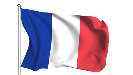 bandera de francia (semi-transparente, en bucle, canal alfa)
