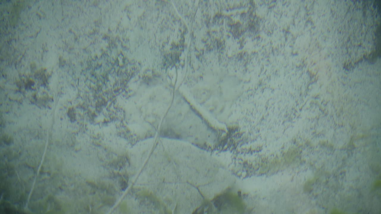 Underwater scene from Sava Dolinka in Slovenia, serene and clear