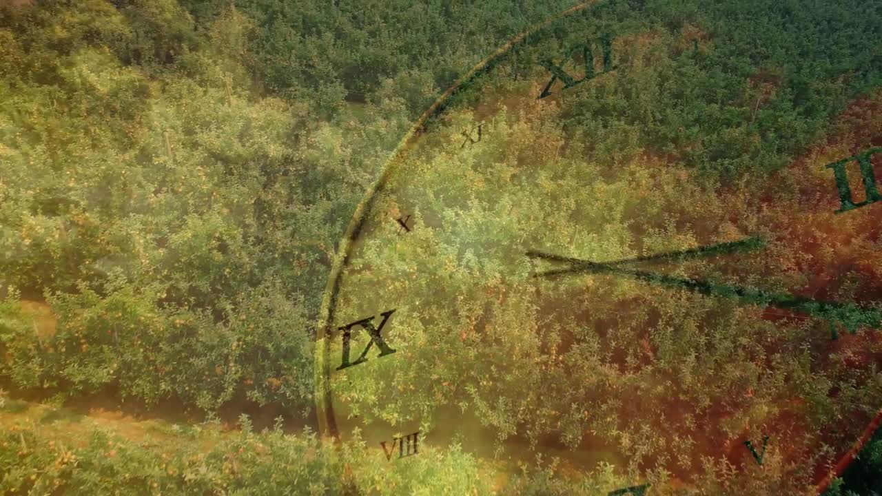 Varmt ljusskifte startar, antik klocköverlagring roterar medurs över en baldakin, visare sveper över tiden.