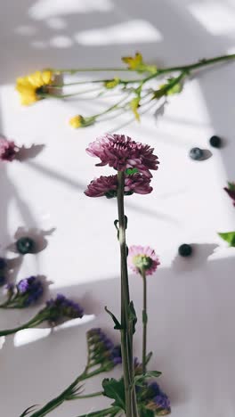 beautiful floral arrangement with shadows