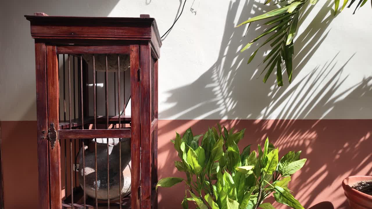 Warm, sun-drenched scene showcasing the rustic charm of a historic wooden water purifier and tropical foliage in a classic patio setting
