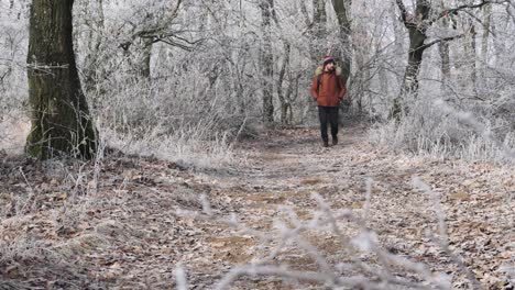 Caucasian-man-in-brown-winter-jacket-walking-forward-and-wandering-around-in-frost-covered-forest