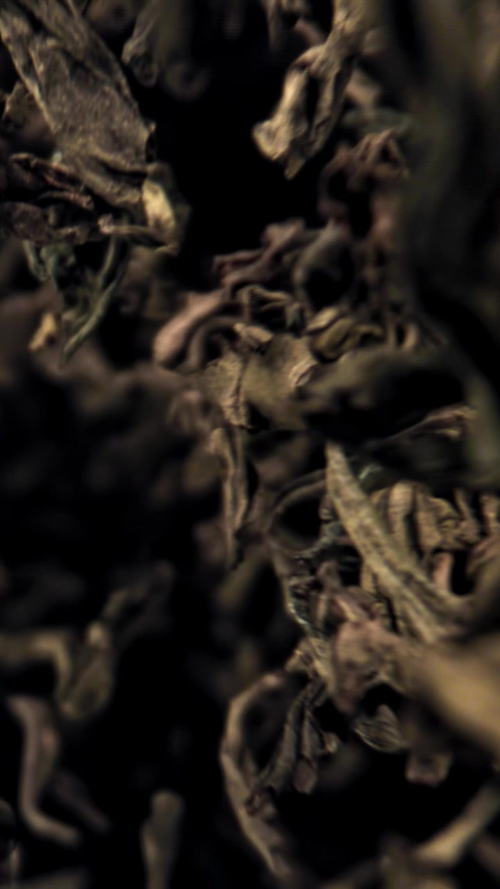 Dried Tea Leaves Falling in Slow Motion Against a Dark Background