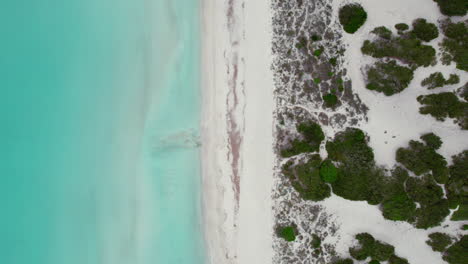 Top-View-Of-White-Sandy-Beach-Of-Platja-des-Trenc-On-The-Southern-Coast-Of-Majorca,-Spain