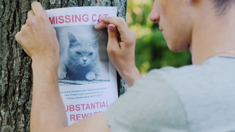 man attaches ad for missing cat