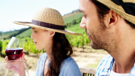 pareja bebiendo vino en la granja