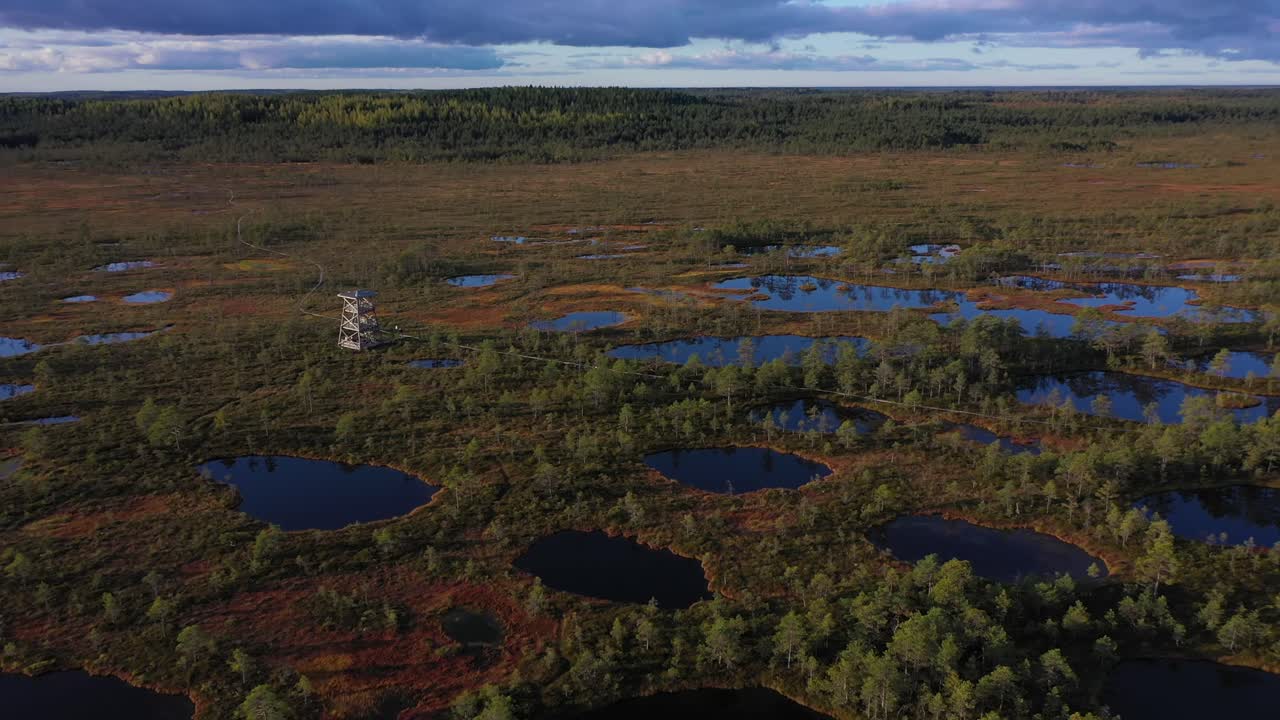 Udkigstårn i tørvemose eller marsk i Estlands naturreservat, roterende luftfoto