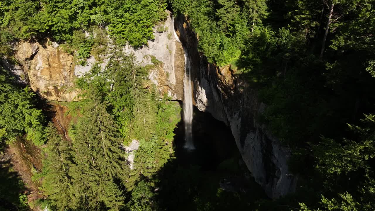 Waterfall in Lush Green Forest