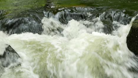 agua de flujo rápido a lo largo del río fowey en la reserva natural de golitha falls
