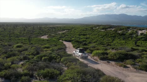 a scenic drive through the lush desert of baja. meandering through cacti this dirt road on the south coast of the sea of cortez is truly one of a kind