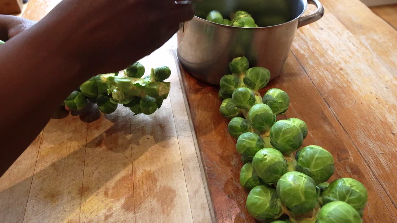 줄기에서 브뤼셀 콩나물을 따는 아프리카 민족의 남자