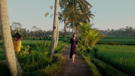 closeup of a beautiful female walking on the road surrounded by palm trees and rice fields rice terrace exploring cultural landscape on exotic vacation through bali indonesia