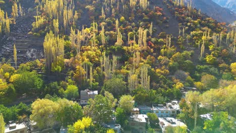 vista aérea de los árboles de otoño en el valle de skardu