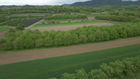 fly above trees and fields in rural area