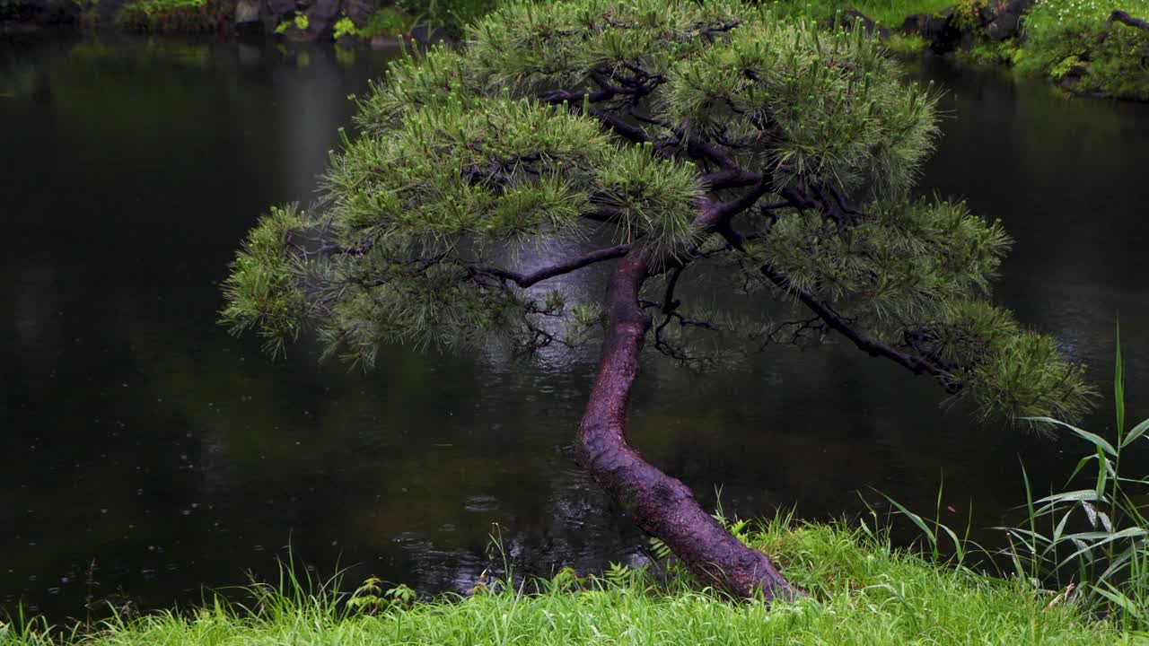 도쿄 최고의 전망